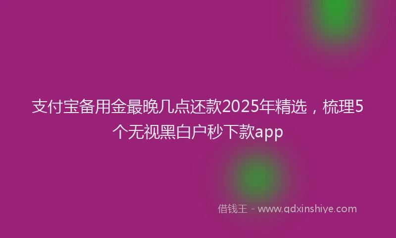 支付宝备用金最晚几点还款2025年精选，梳理5个无视黑白户秒下款app