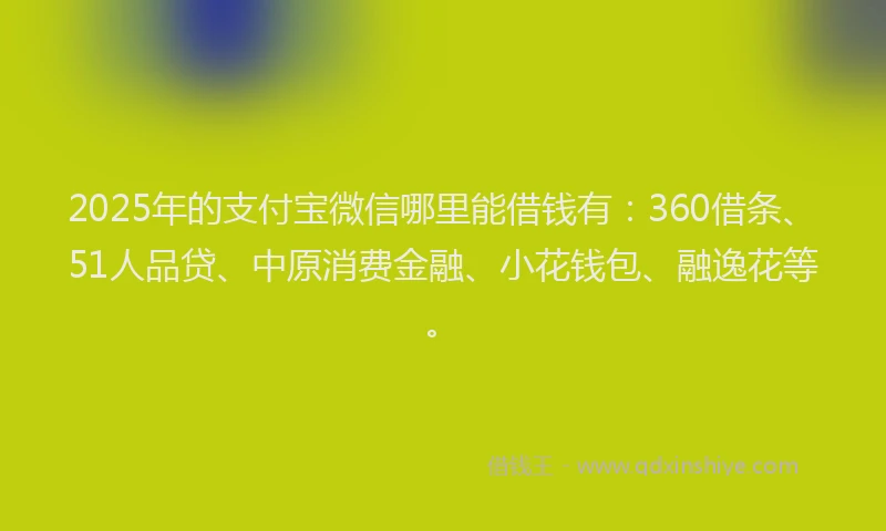 2025年的支付宝微信哪里能借钱有：360借条、51人品贷、中原消费金融、小花钱包、融逸花等。