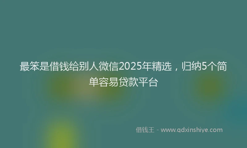 最笨是借钱给别人微信2025年精选，归纳5个简单容易贷款平台
