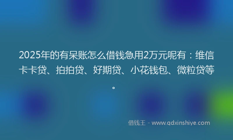 2025年的有呆账怎么借钱急用2万元呢有：维信卡卡贷、拍拍贷、好期贷、小花钱包、微粒贷等。