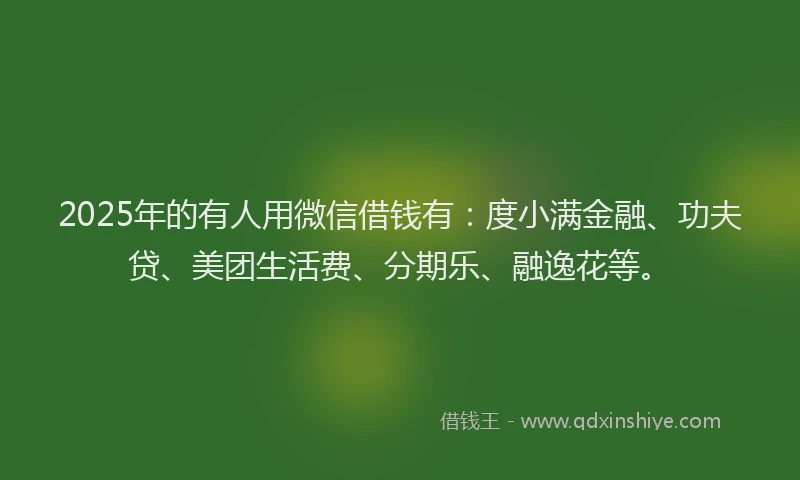 2025年的有人用微信借钱有：度小满金融、功夫贷、美团生活费、分期乐、融逸花等。