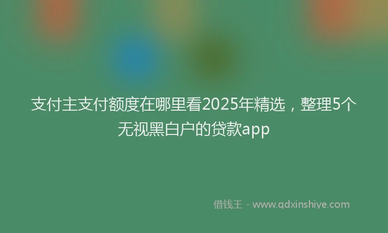 支付主支付额度在哪里看2025年精选，整理5个无视黑白户的贷款app