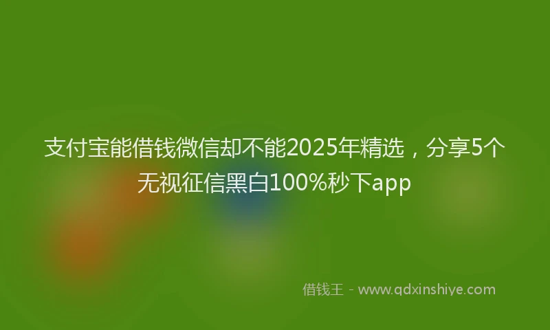 支付宝能借钱微信却不能2025年精选，分享5个无视征信黑白100%秒下app