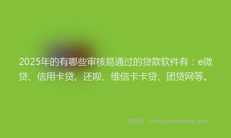 2025年的有哪些审核易通过的贷款软件有：e微贷、信用卡贷、还呗、维信卡卡贷、团贷网等。