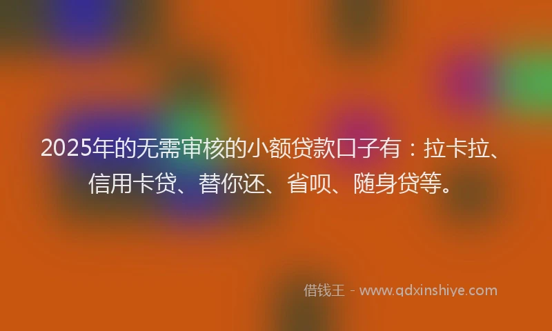 2025年的无需审核的小额贷款口子有：拉卡拉、信用卡贷、替你还、省呗、随身贷等。