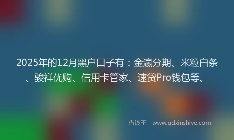 2025年的12月黑户口子有：金瀛分期、米粒白条、骏祥优购、信用卡管家、速贷Pro钱包等。