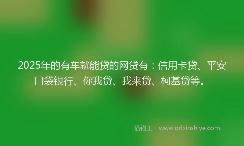 2025年的有车就能贷的网贷有：信用卡贷、平安口袋银行、你我贷、我来贷、柯基贷等。