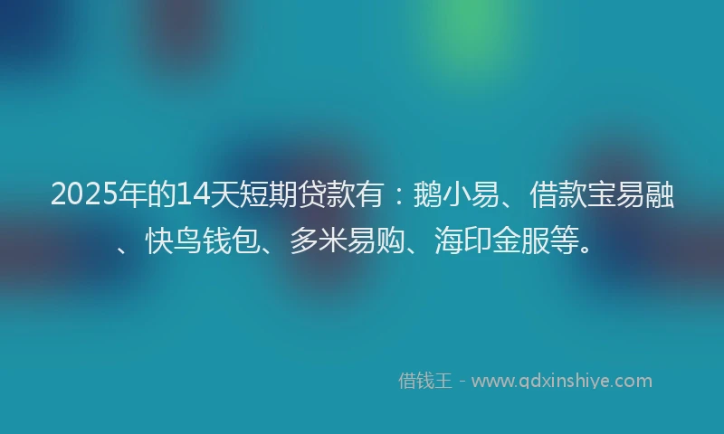 2025年的14天短期贷款有：鹅小易、借款宝易融、快鸟钱包、多米易购、海印金服等。