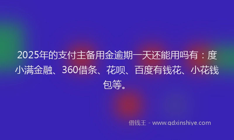 2025年的支付主备用金逾期一天还能用吗有：度小满金融、360借条、花呗、百度有钱花、小花钱包等。