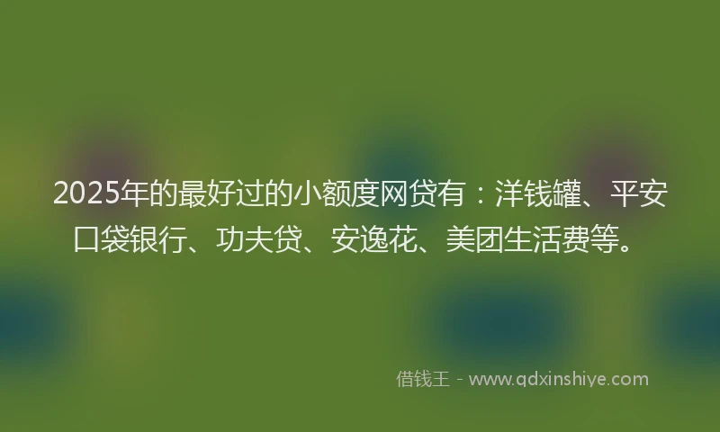 2025年的最好过的小额度网贷有：洋钱罐、平安口袋银行、功夫贷、安逸花、美团生活费等。