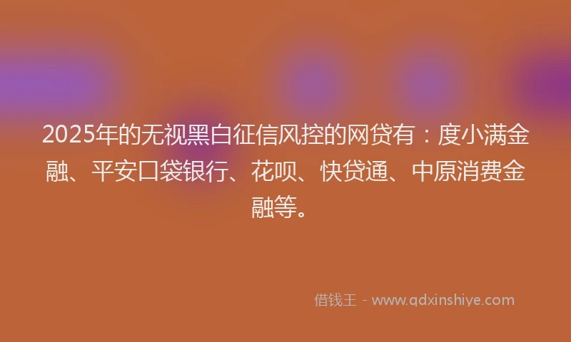 2025年的无视黑白征信风控的网贷有：度小满金融、平安口袋银行、花呗、快贷通、中原消费金融等。