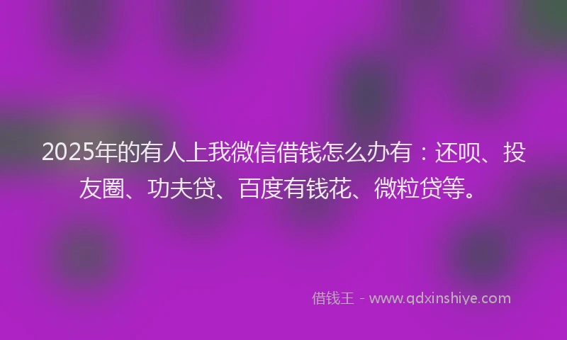 2025年的有人上我微信借钱怎么办有：还呗、投友圈、功夫贷、百度有钱花、微粒贷等。