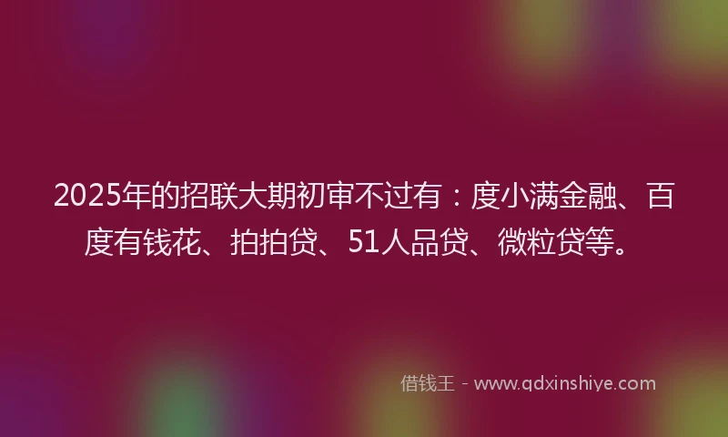 2025年的招联大期初审不过有：度小满金融、百度有钱花、拍拍贷、51人品贷、微粒贷等。