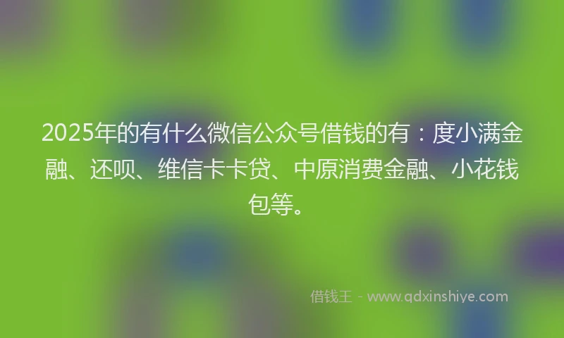 2025年的有什么微信公众号借钱的有：度小满金融、还呗、维信卡卡贷、中原消费金融、小花钱包等。