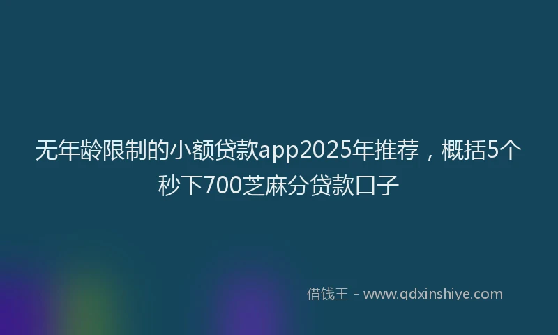 无年龄限制的小额贷款app2025年推荐，概括5个秒下700芝麻分贷款口子