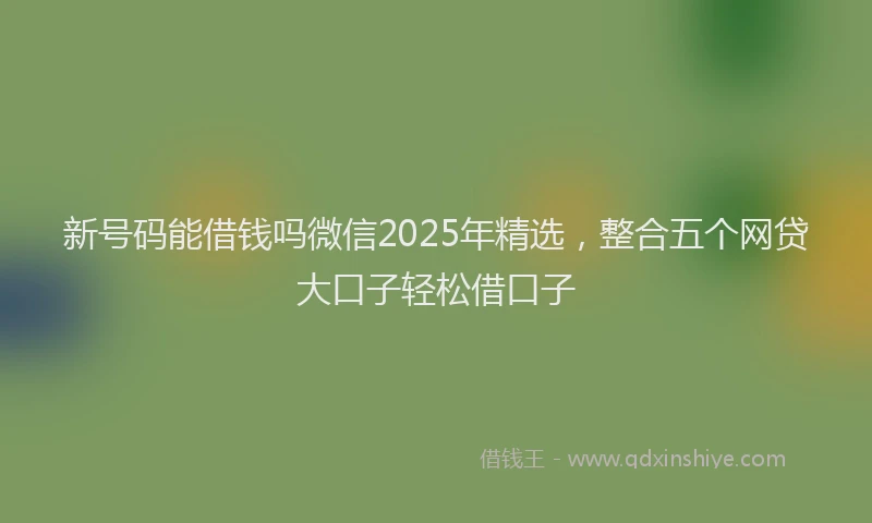 新号码能借钱吗微信2025年精选，整合五个网贷大口子轻松借口子