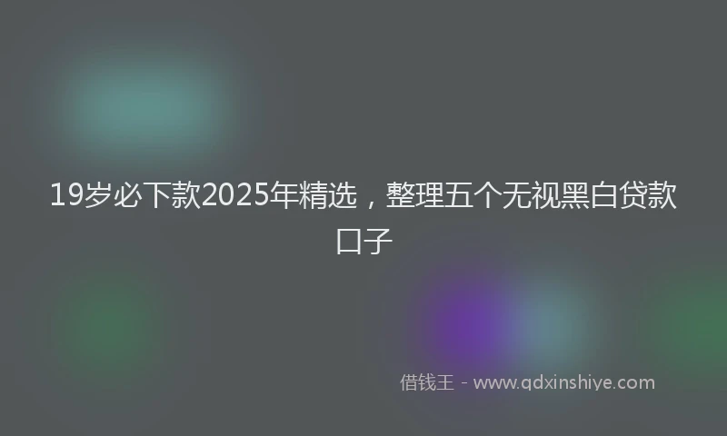19岁必下款2025年精选，整理五个无视黑白贷款口子