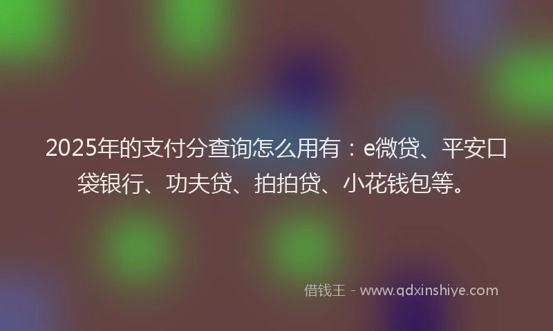 2025年的支付分查询怎么用有：e微贷、平安口袋银行、功夫贷、拍拍贷、小花钱包等。