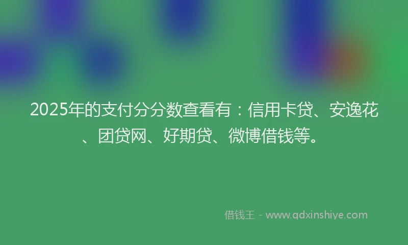2025年的支付分分数查看有：信用卡贷、安逸花、团贷网、好期贷、微博借钱等。