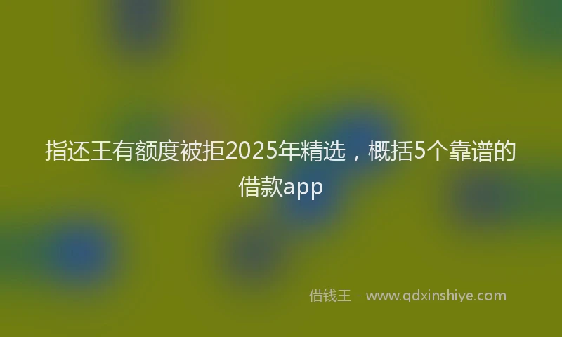 指还王有额度被拒2025年精选，概括5个靠谱的借款app