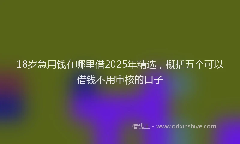 18岁急用钱在哪里借2025年精选，概括五个可以借钱不用审核的口子