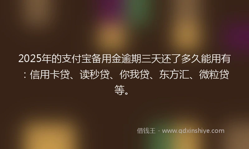 2025年的支付宝备用金逾期三天还了多久能用有：信用卡贷、读秒贷、你我贷、东方汇、微粒贷等。