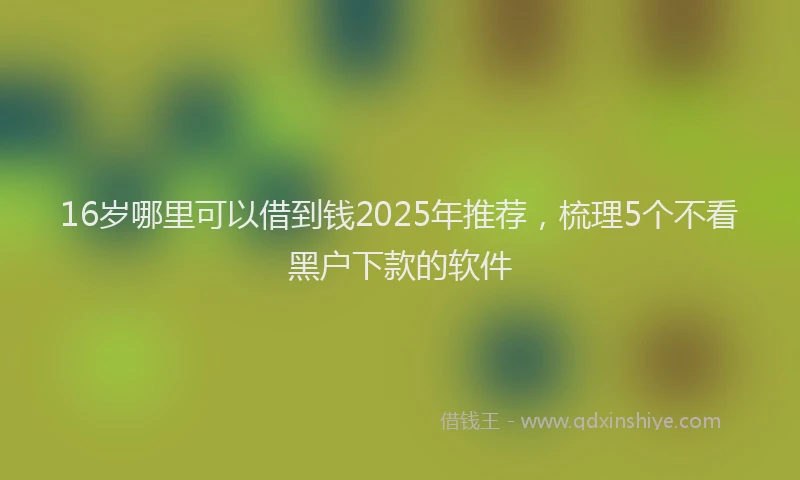 16岁哪里可以借到钱2025年推荐，梳理5个不看黑户下款的软件