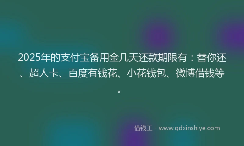 2025年的支付宝备用金几天还款期限有：替你还、超人卡、百度有钱花、小花钱包、微博借钱等。