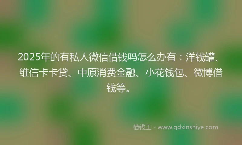 2025年的有私人微信借钱吗怎么办有：洋钱罐、维信卡卡贷、中原消费金融、小花钱包、微博借钱等。