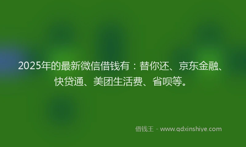 2025年的最新微信借钱有：替你还、京东金融、快贷通、美团生活费、省呗等。