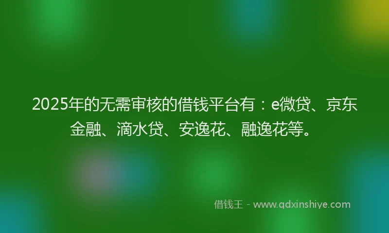 2025年的无需审核的借钱平台有：e微贷、京东金融、滴水贷、安逸花、融逸花等。