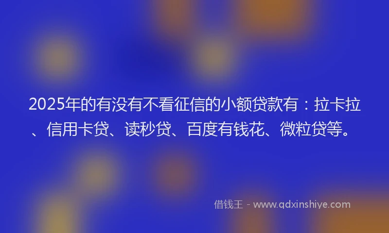 2025年的有没有不看征信的小额贷款有：拉卡拉、信用卡贷、读秒贷、百度有钱花、微粒贷等。