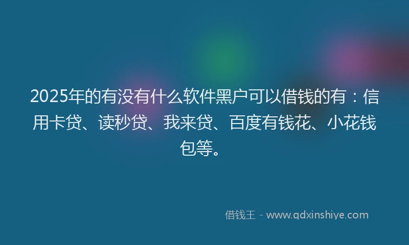 2025年的有没有什么软件黑户可以借钱的有：信用卡贷、读秒贷、我来贷、百度有钱花、小花钱包等。