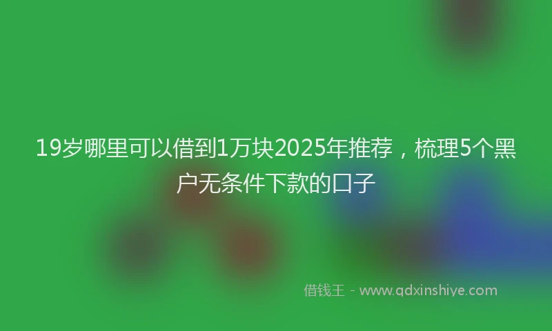 19岁哪里可以借到1万块2025年推荐，梳理5个黑户无条件下款的口子