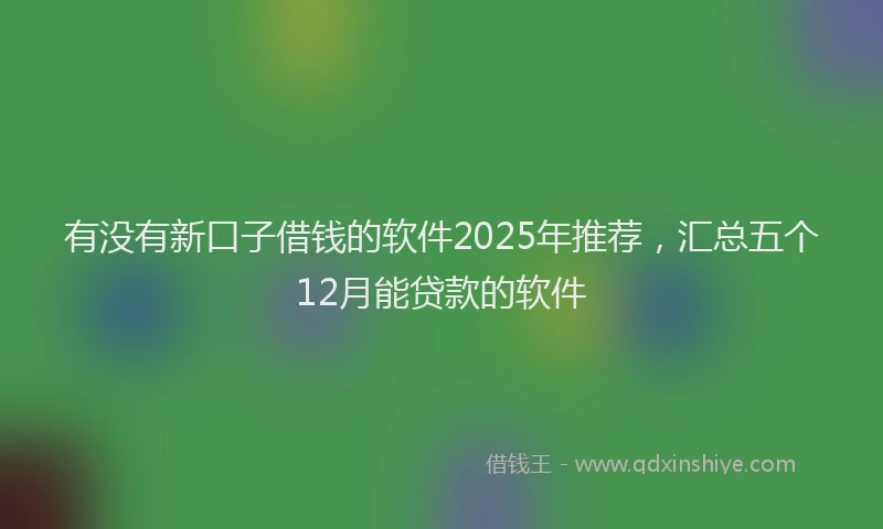 有没有新口子借钱的软件2025年推荐，汇总五个12月能贷款的软件