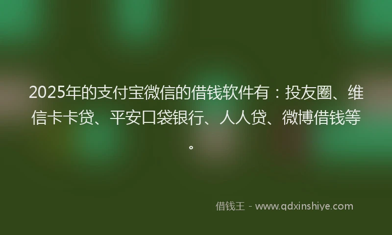 2025年的支付宝微信的借钱软件有：投友圈、维信卡卡贷、平安口袋银行、人人贷、微博借钱等。