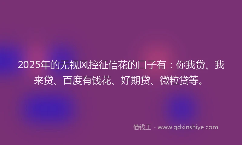 2025年的无视风控征信花的口子有：你我贷、我来贷、百度有钱花、好期贷、微粒贷等。