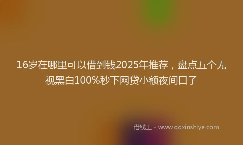 16岁在哪里可以借到钱2025年推荐，盘点五个无视黑白100%秒下网贷小额夜间口子