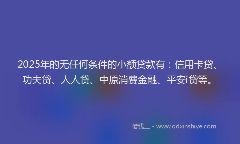 2025年的无任何条件的小额贷款有：信用卡贷、功夫贷、人人贷、中原消费金融、平安i贷等。