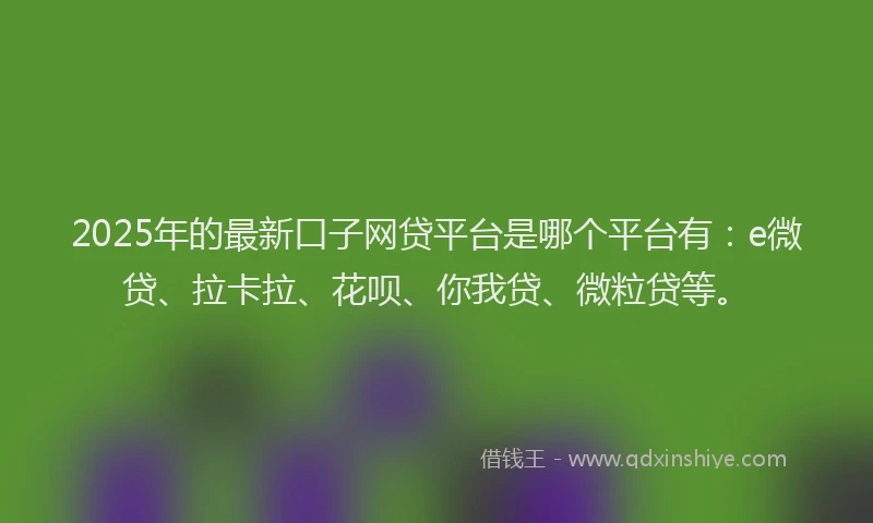 2025年的最新口子网贷平台是哪个平台有：e微贷、拉卡拉、花呗、你我贷、微粒贷等。