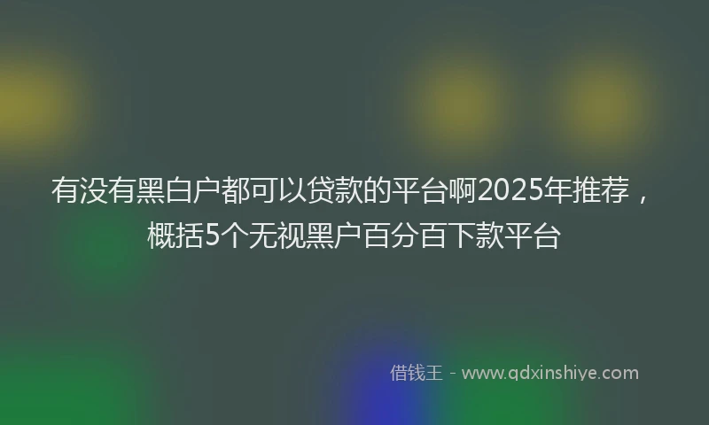 有没有黑白户都可以贷款的平台啊2025年推荐，概括5个无视黑户百分百下款平台
