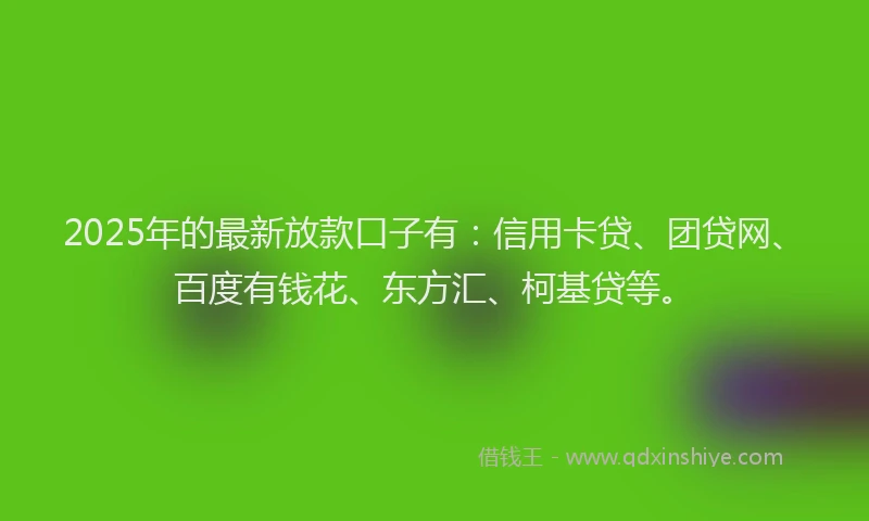 2025年的最新放款口子有：信用卡贷、团贷网、百度有钱花、东方汇、柯基贷等。