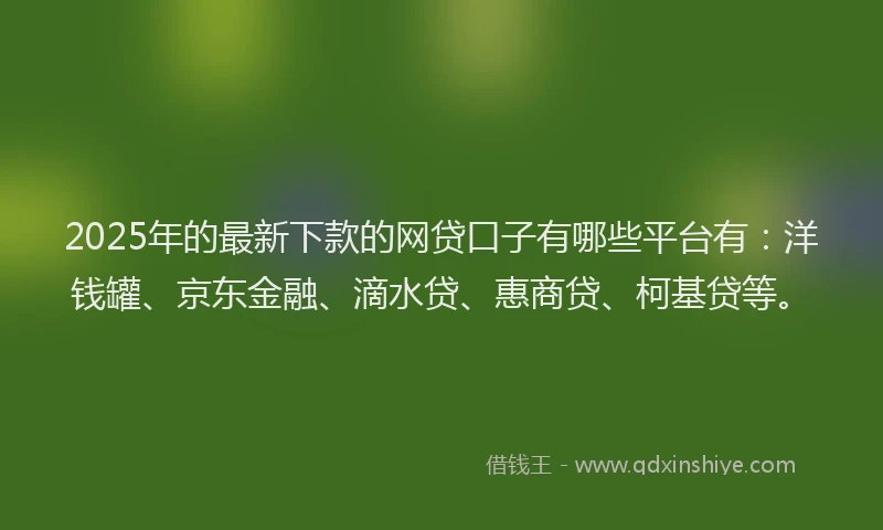 2025年的最新下款的网贷口子有哪些平台有：洋钱罐、京东金融、滴水贷、惠商贷、柯基贷等。