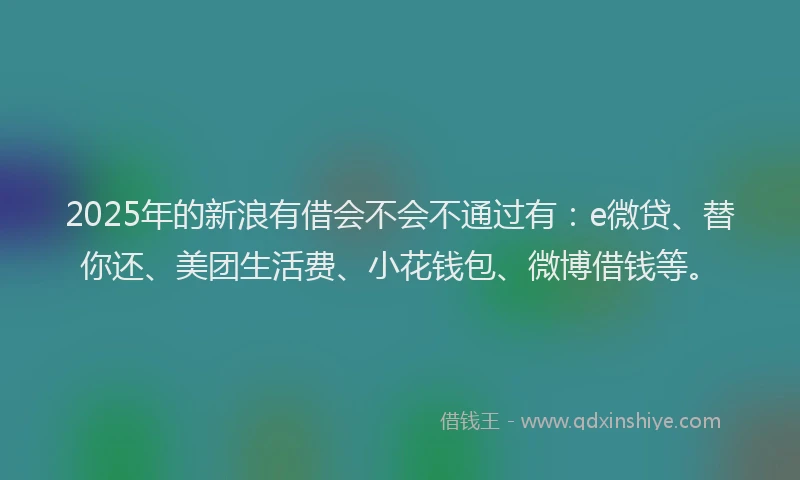 2025年的新浪有借会不会不通过有：e微贷、替你还、美团生活费、小花钱包、微博借钱等。