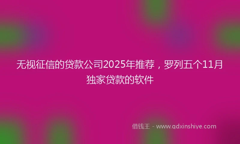 无视征信的贷款公司2025年推荐，罗列五个11月独家贷款的软件