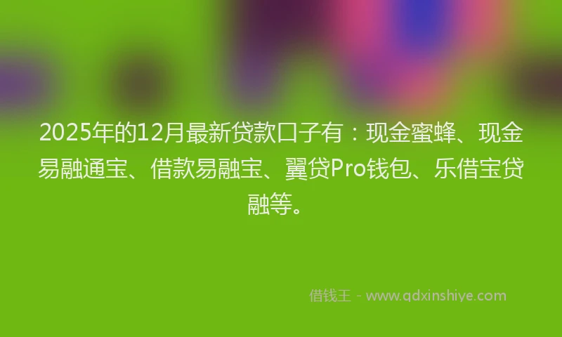 2025年的12月最新贷款口子有：现金蜜蜂、现金易融通宝、借款易融宝、翼贷Pro钱包、乐借宝贷融等。