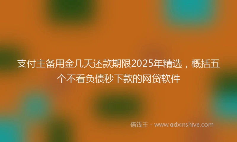 支付主备用金几天还款期限2025年精选，概括五个不看负债秒下款的网贷软件