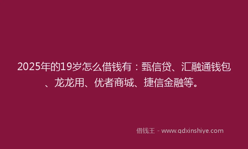 2025年的19岁怎么借钱有：甄信贷、汇融通钱包、龙龙用、优者商城、捷信金融等。