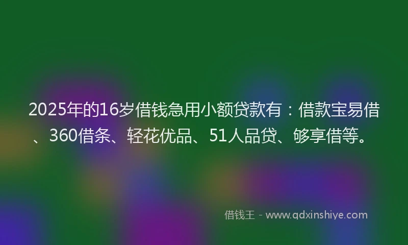 2025年的16岁借钱急用小额贷款有：借款宝易借、360借条、轻花优品、51人品贷、够享借等。