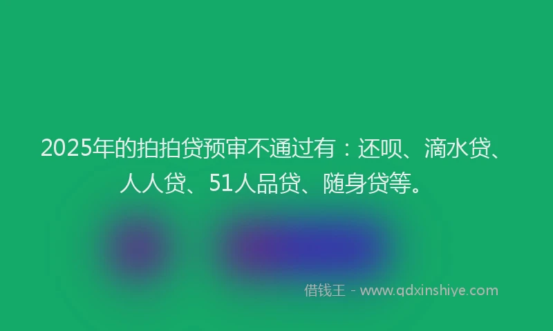 2025年的拍拍贷预审不通过有：还呗、滴水贷、人人贷、51人品贷、随身贷等。